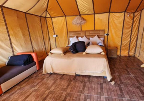 Merzouga nights camp& excursions